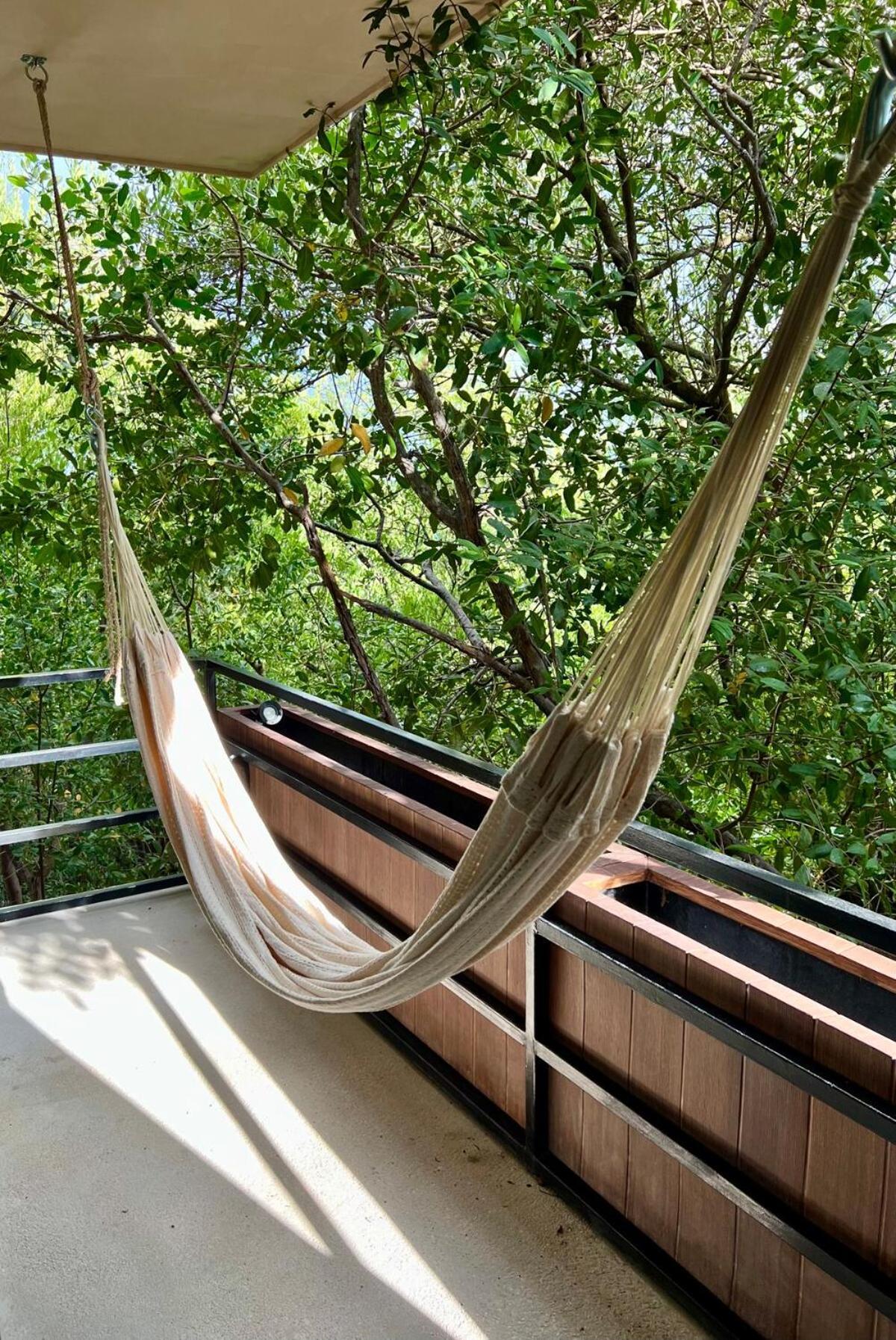 In Tankah Bay Where Jungle Meets